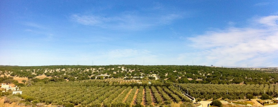 domaine-villa-maroc